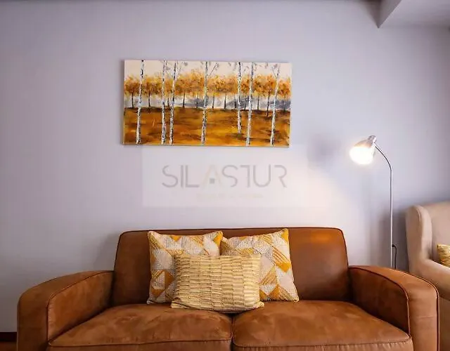 Santacruz By Silastur Apartment Oviedo