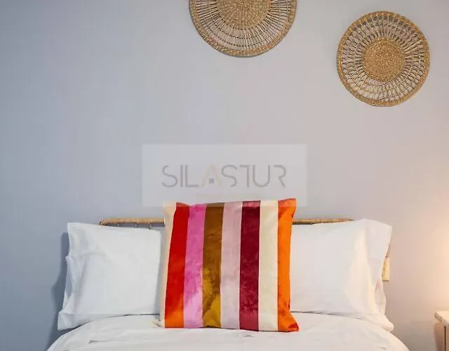 Santacruz By Silastur * Oviedo