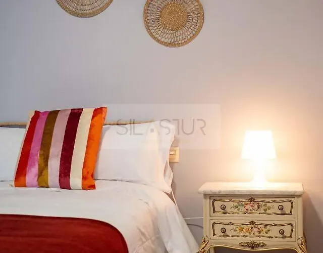 Santacruz By Silastur * Oviedo